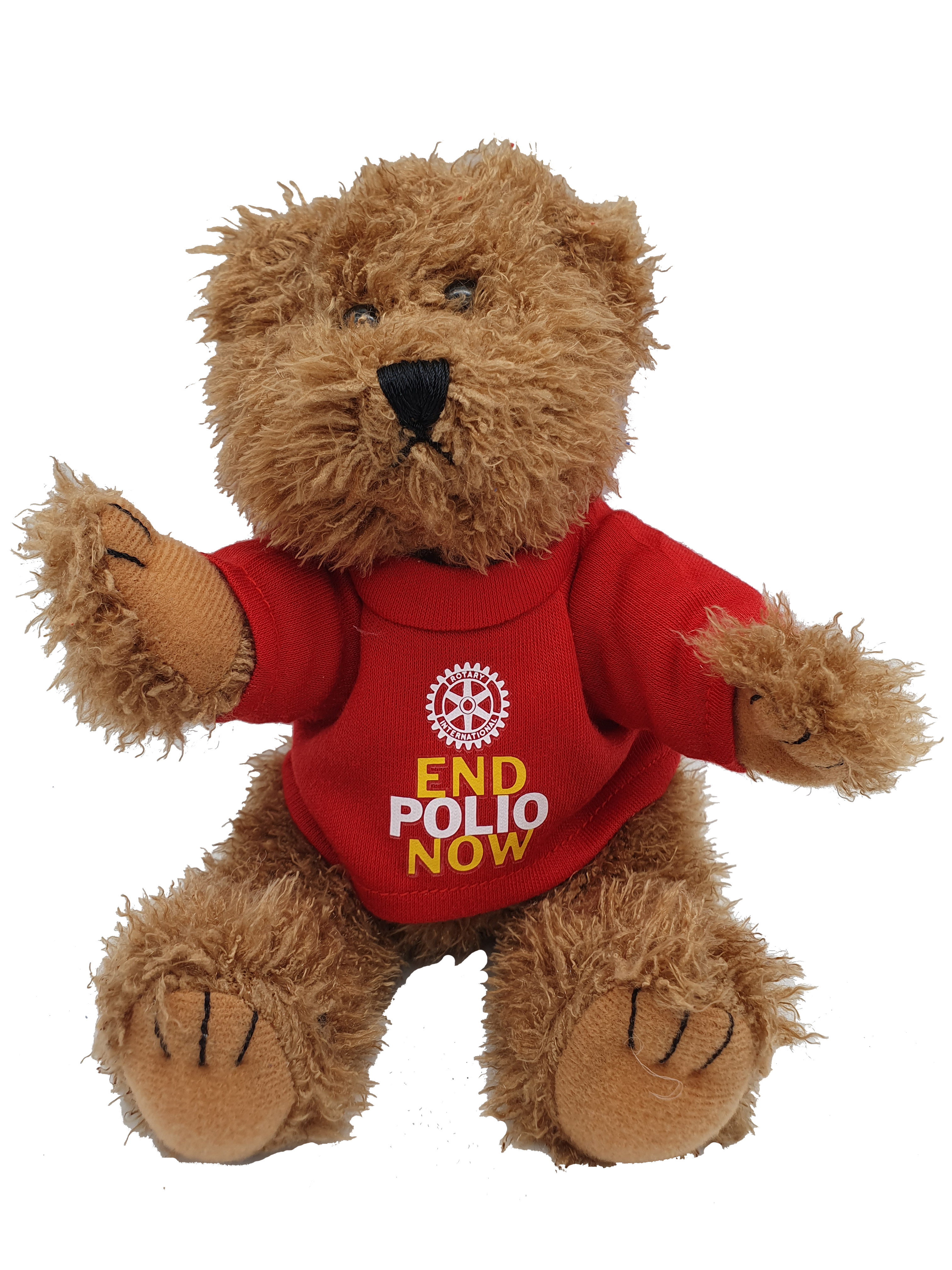 End Polio Now Teddybär  